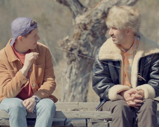 《无花果树》电影封面