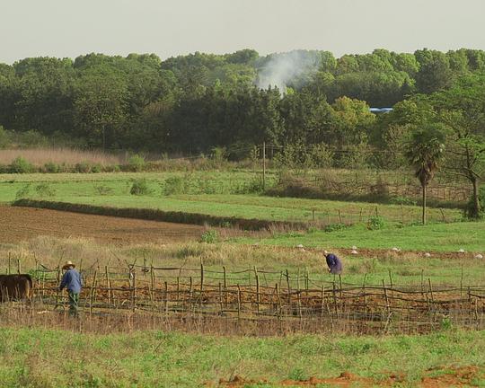 《After Divorce》纪录片封面