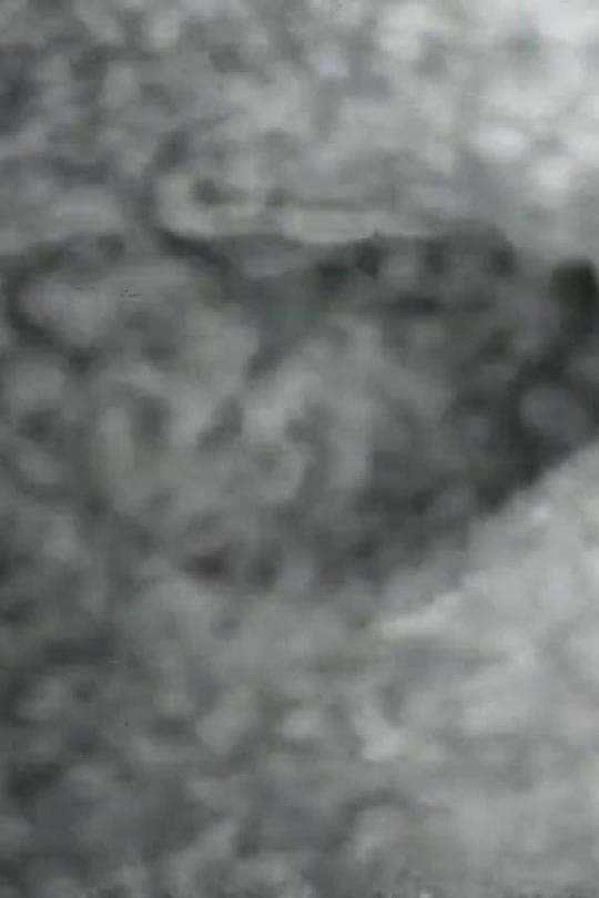 《嘴对嘴》电影封面