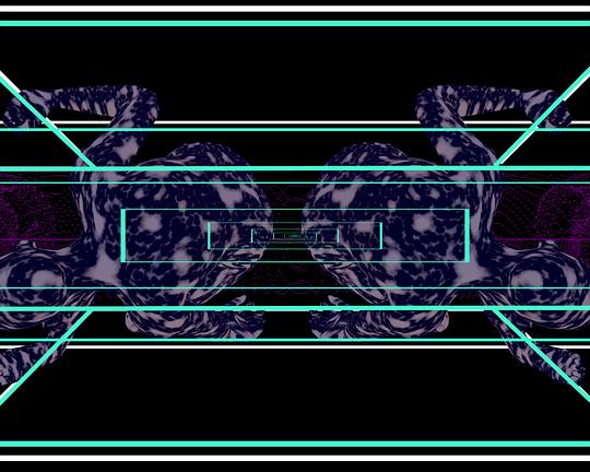 《Operation Schönheit》电影封面