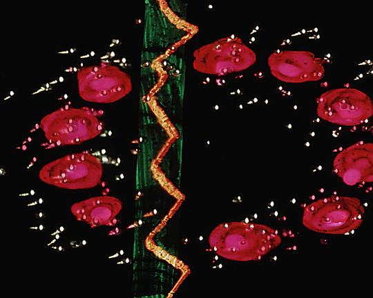 《Intersextion》动画封面