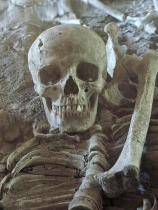 《庞贝地下城》电影封面