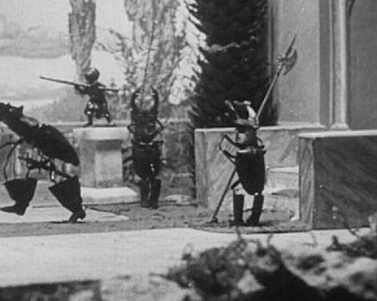 《美丽的柳卡尼达》动画封面