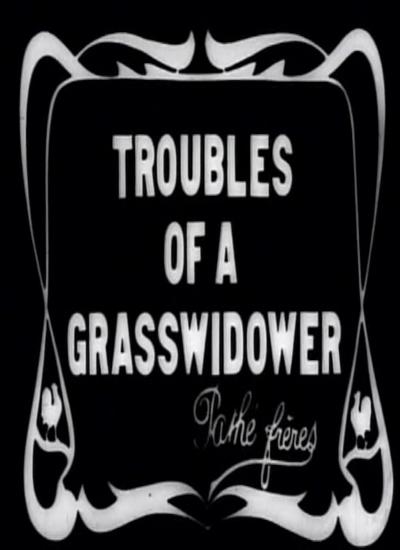 《草鳏夫的麻烦》电影封面