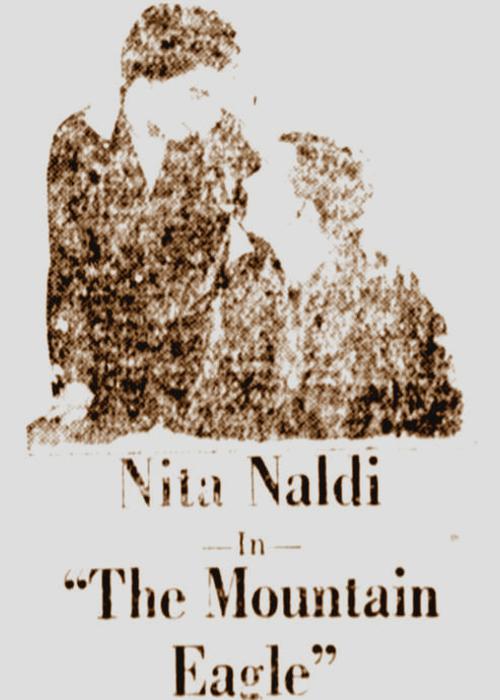 《山鹰》电影封面