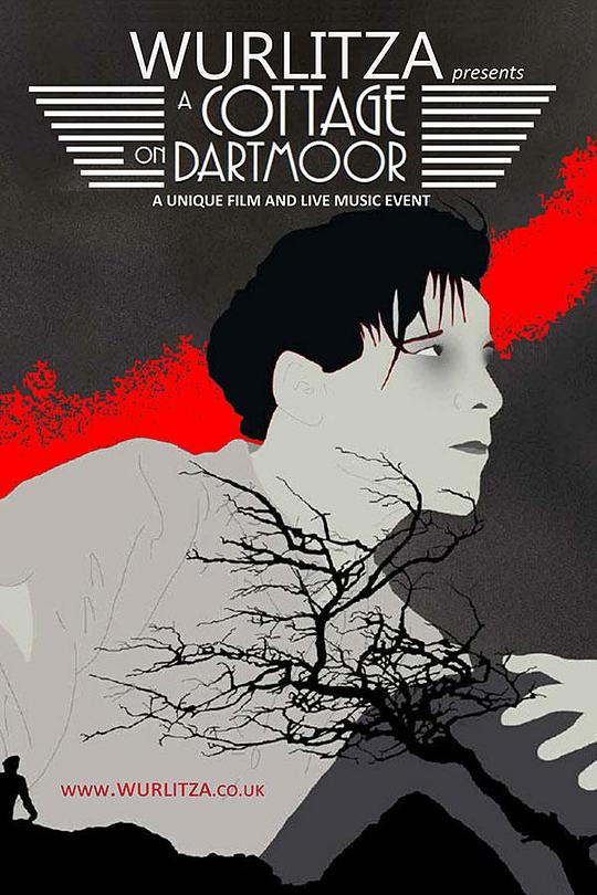 《达特穆尔的小屋》电影封面