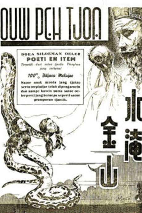 《水淹金山》电影封面