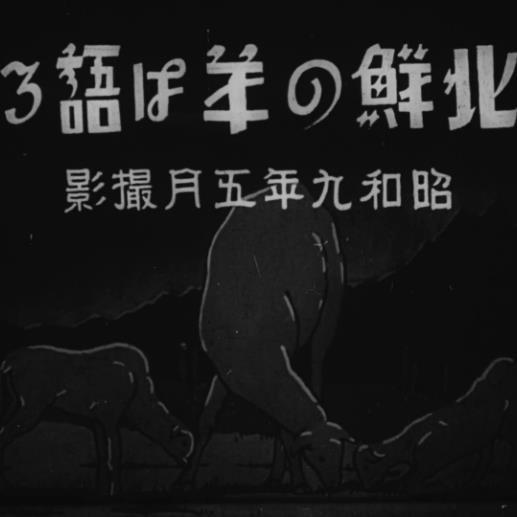 《北朝鲜羊说》纪录片封面