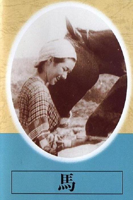 《马》电影封面