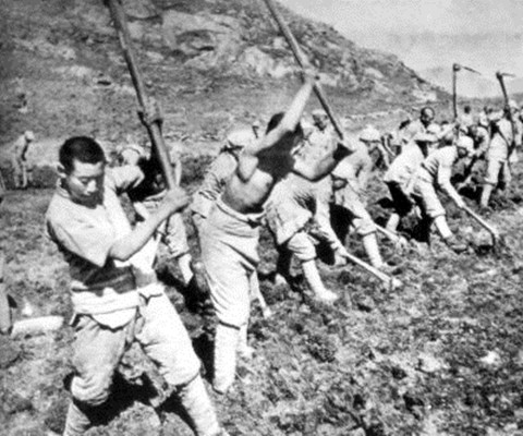 《南泥湾》纪录片封面