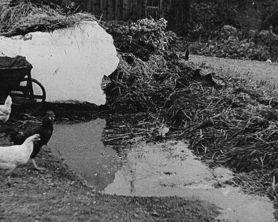 《土地来的水》纪录片封面