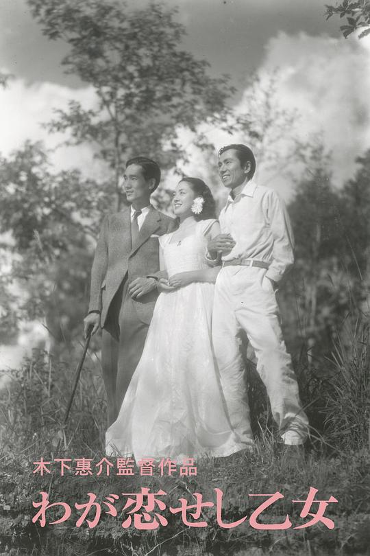 《求爱的人》电影封面