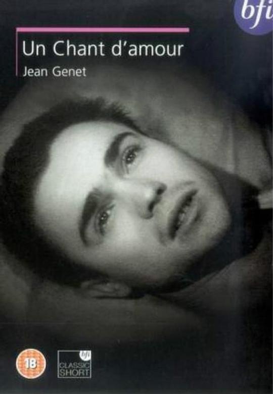 《情歌恋曲》电影封面