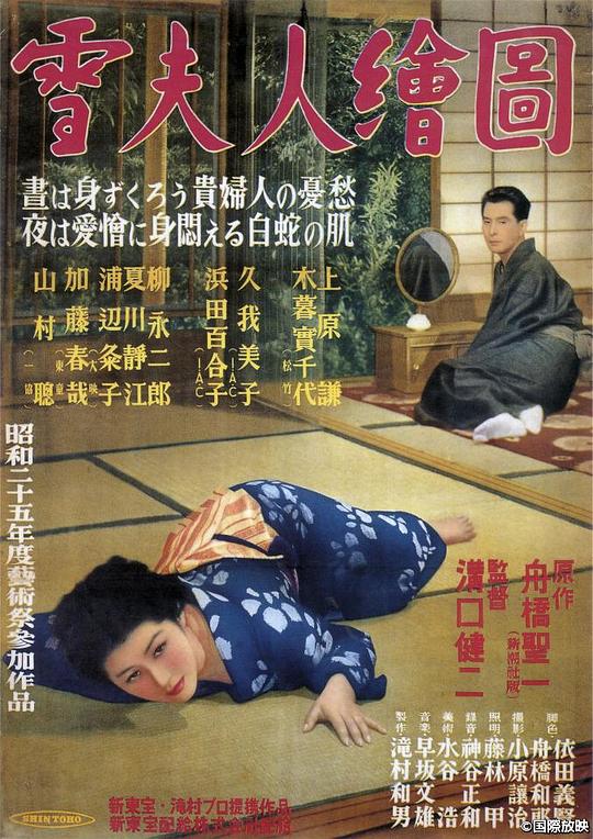 《雪夫人绘图》电影封面