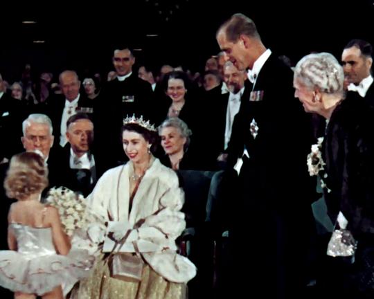 《皇家旅行》纪录片封面