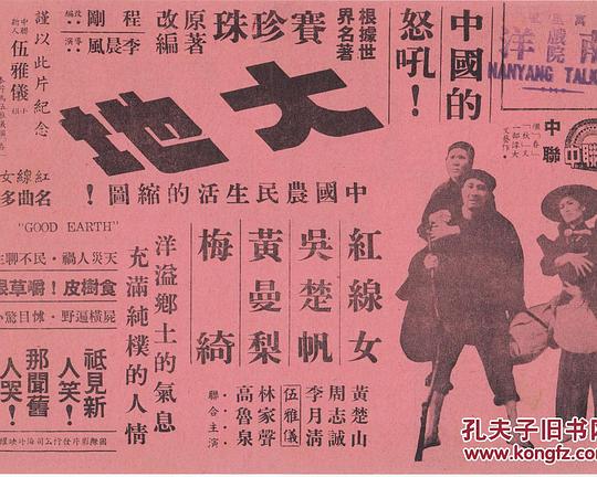 《大地》电影封面
