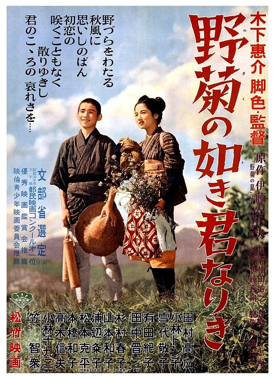 《野菊之墓》电影封面