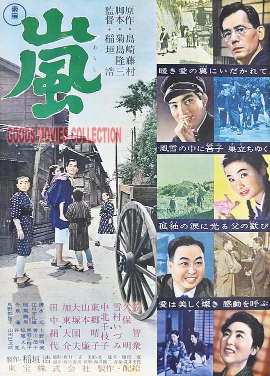 《岚》电影封面