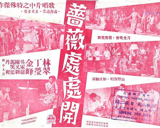 《蔷薇处处开》戏曲封面