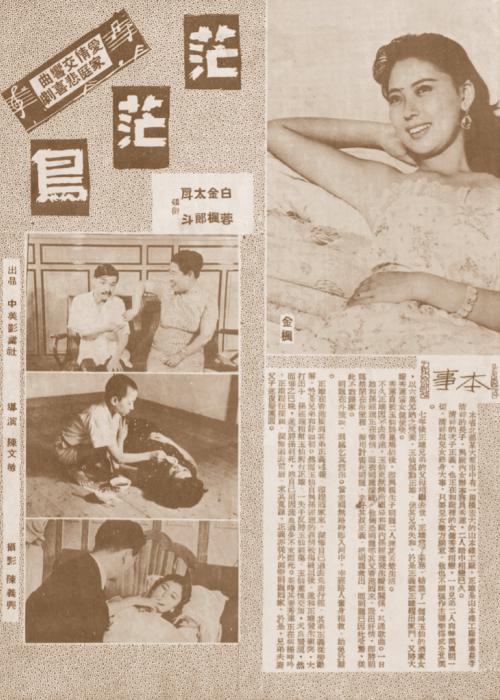 《茫茫鸟》电影封面