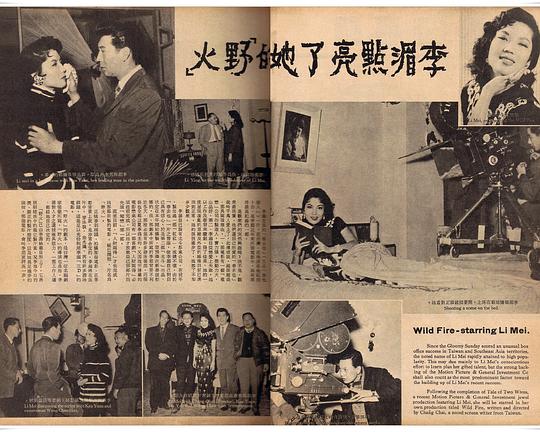 《野火》歌舞剧封面