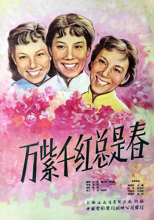 《万紫千红总是春》电影封面