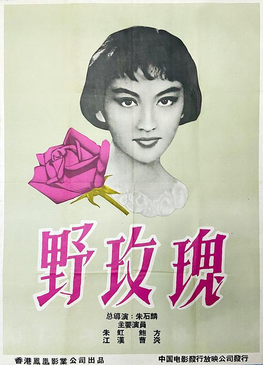 《野玫瑰》电影封面