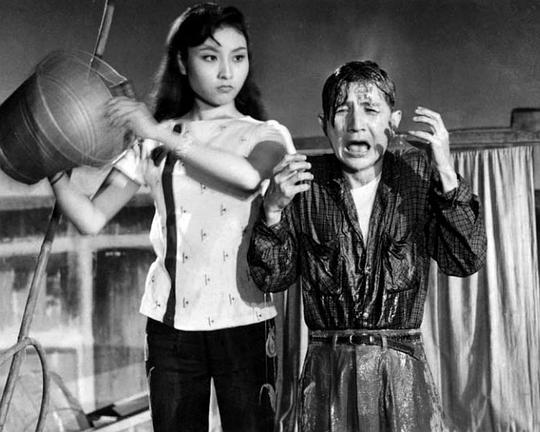 《黑猫与黑狗》电影封面