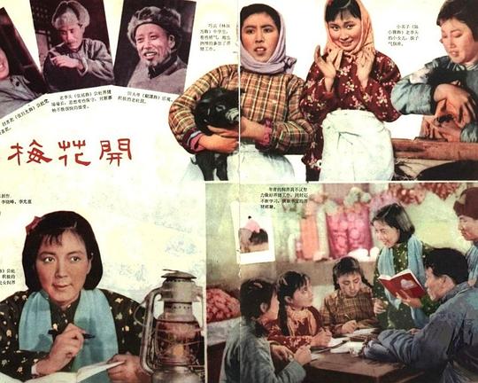 《红梅花开》电影封面