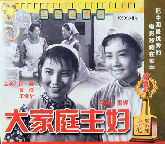 《大家庭主妇》电影封面