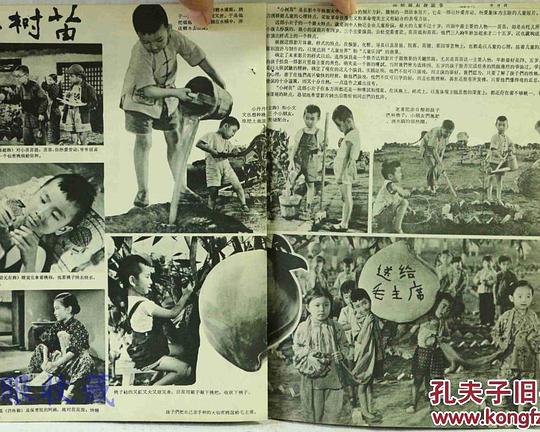 《小树苗》电影封面