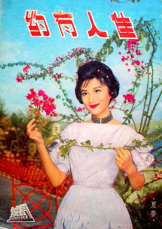 《佳人有约》电影封面