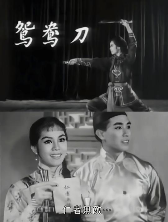 《鸳鸯刀（大结局）》电影封面