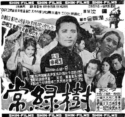 《常綠樹》电影封面