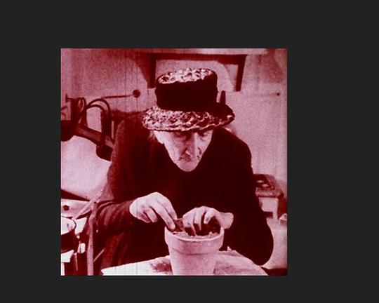 《扁豆》电影封面