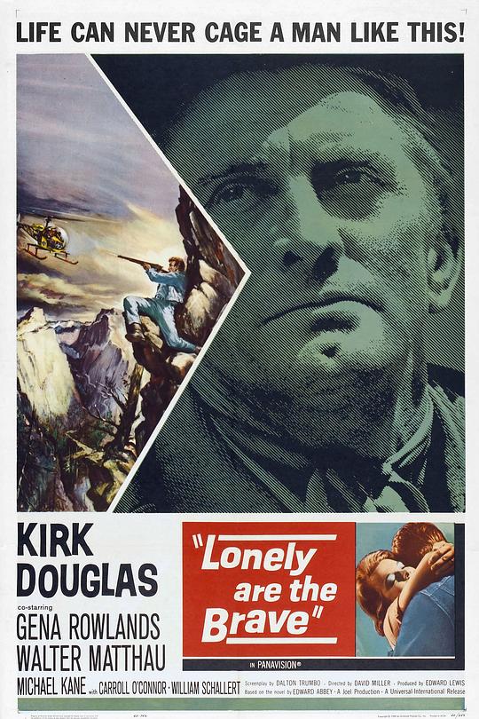 《自古英雄多寂寞》电影封面