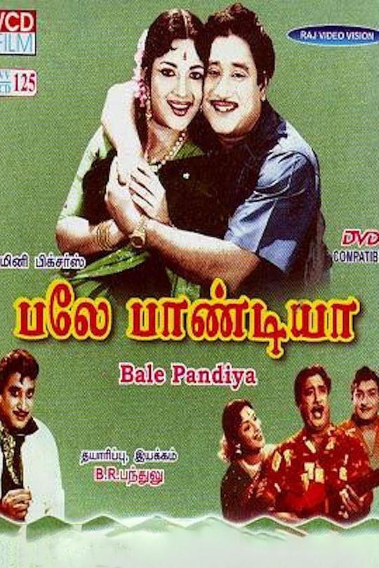 《出色的潘迪亚》电影封面