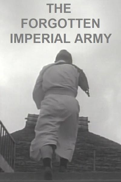 《被忘却的皇军》纪录片封面