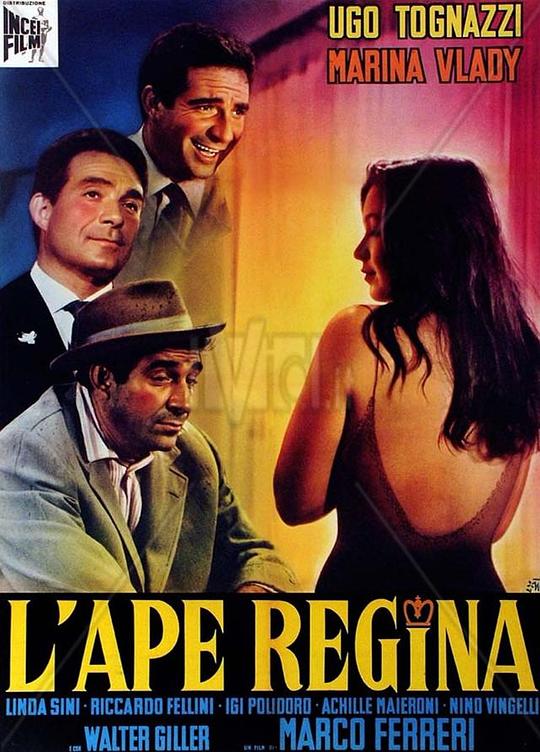 《女王蜂》电影封面