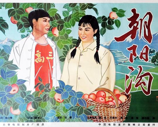 《朝阳沟》戏曲封面