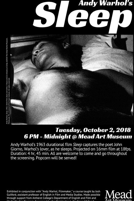 《沉睡》电影封面