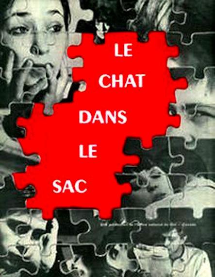 《袋子里的猫》电影封面