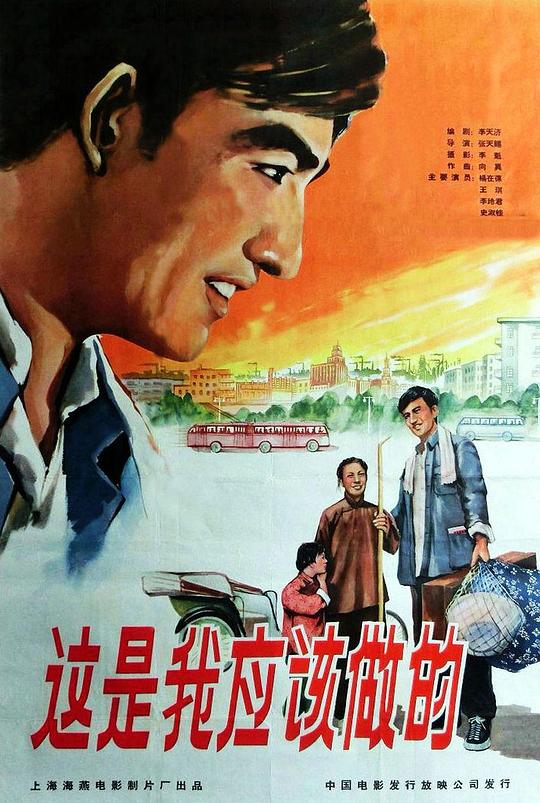 《这是我应该做的》电影封面