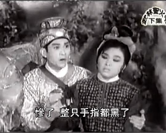 《武林圣火令 (下集)》电影封面