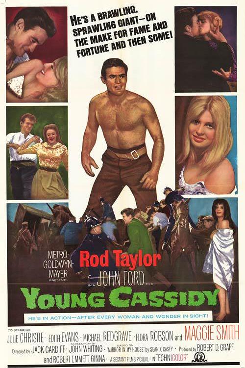 《鹃血忠魂》电影封面