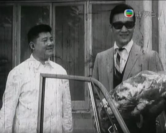 《春残花未落》电影封面