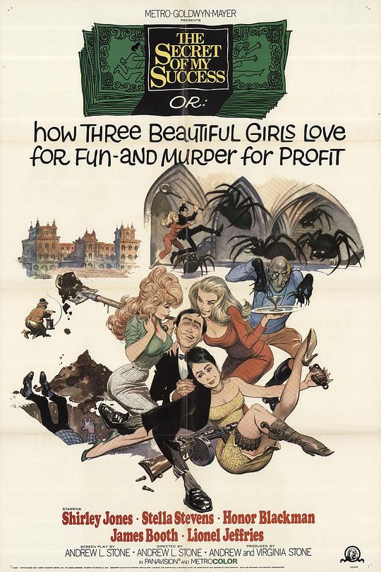 《我的成功秘密》电影封面