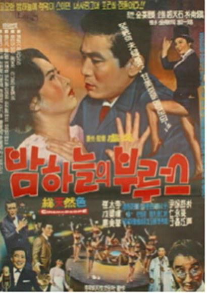 《밤하늘의 부르스》电影封面