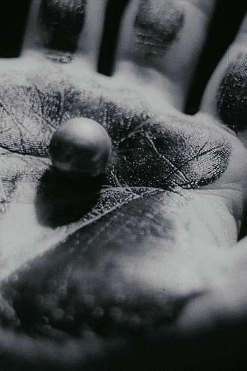 《手》电影封面