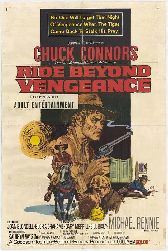 《虎胆铁臂》电影封面